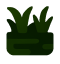 Swamp
