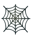 Spider Web